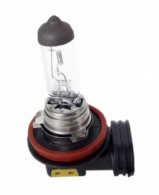 Żarówka H11 12V 55W EPB06 Einparts